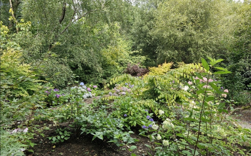 The Hidden Garden